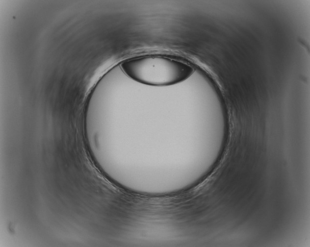 X0000103481365200809120919