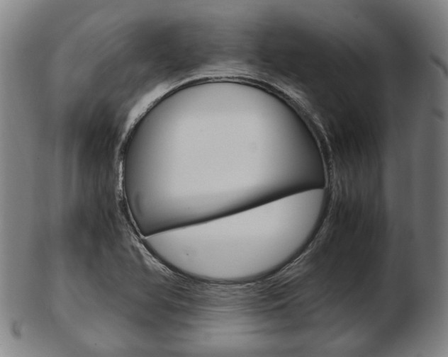 X0000103481366200809120919