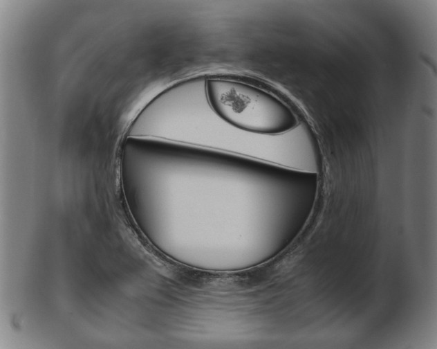 X0000103481367200809120918