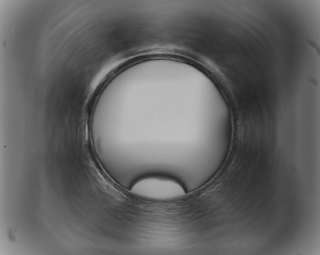 X0000103481368200809120918