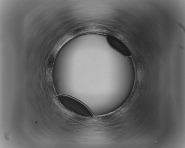 X0000103481369200809120918