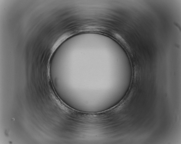 X0000103481370200809120918