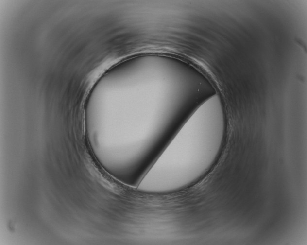 X0000103481371200809120918