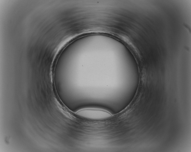 X0000103481372200809120918