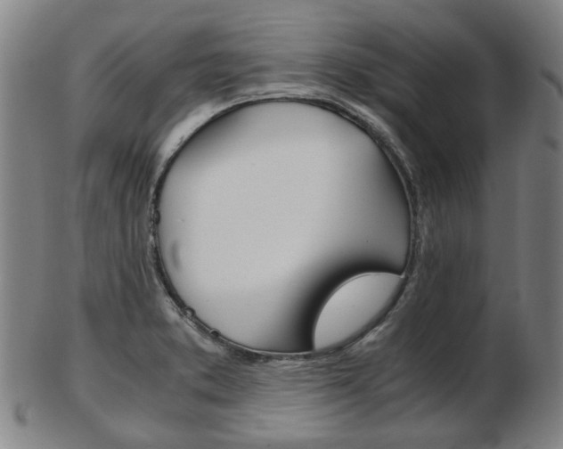 X0000103481373200809120918