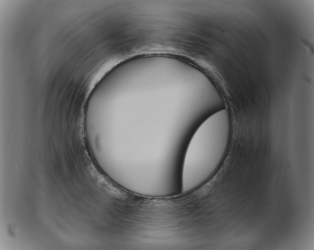 X0000103481374200809120918