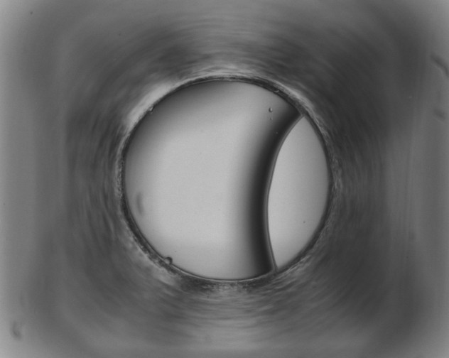 X0000103481375200809120918