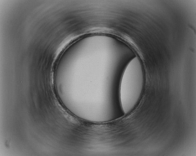 X0000103481376200809120918
