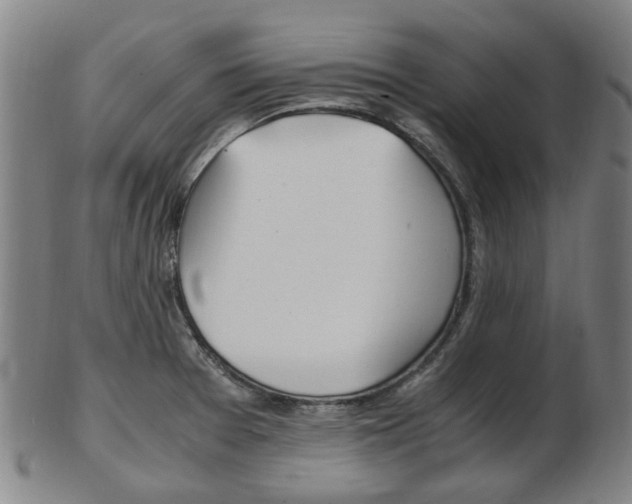 X0000103481377200809120918