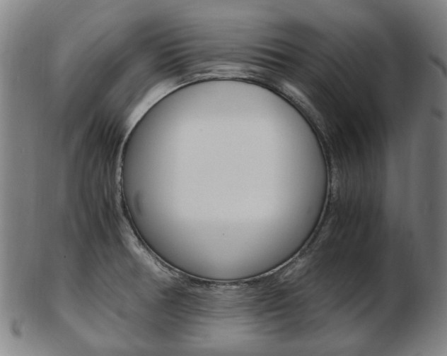 X0000103481378200809120918
