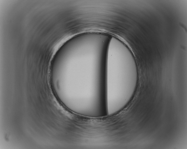 X0000103481379200809120918