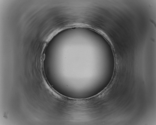 X0000103481381200809120918