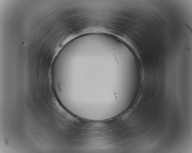 X0000103481382200809120918