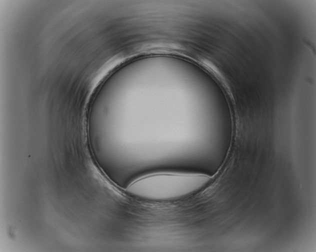 X0000103481384200809120918