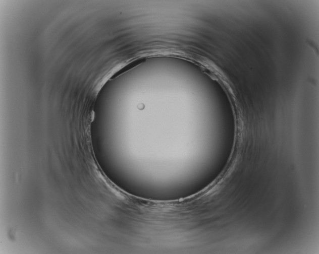 X0000103481385200809120918
