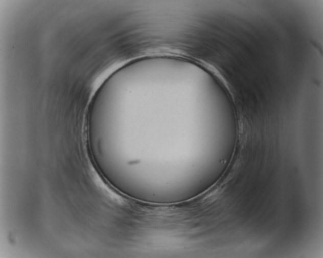 X0000103481387200809120918