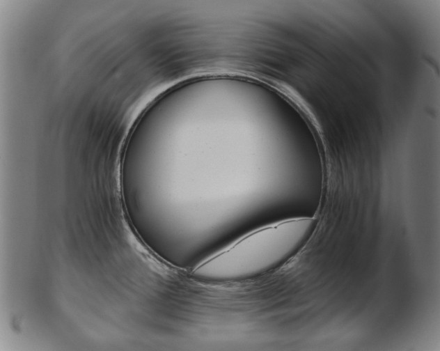 X0000103481388200809120918