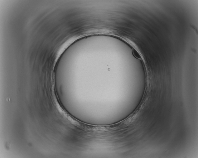 X0000103481389200809120918
