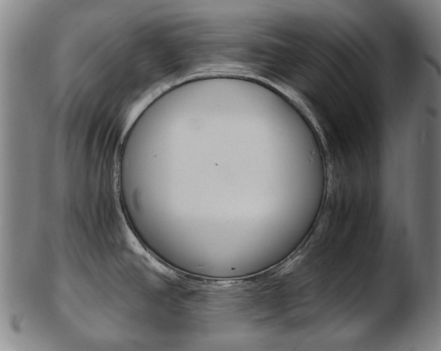 X0000103481390200809120918