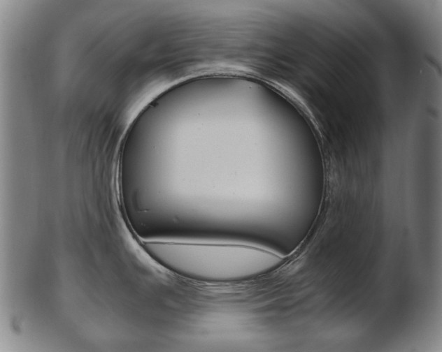 X0000103481391200809120918
