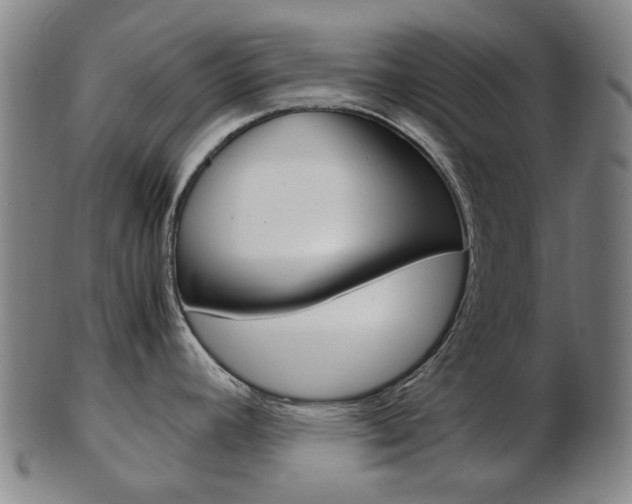 X0000103481392200809120918