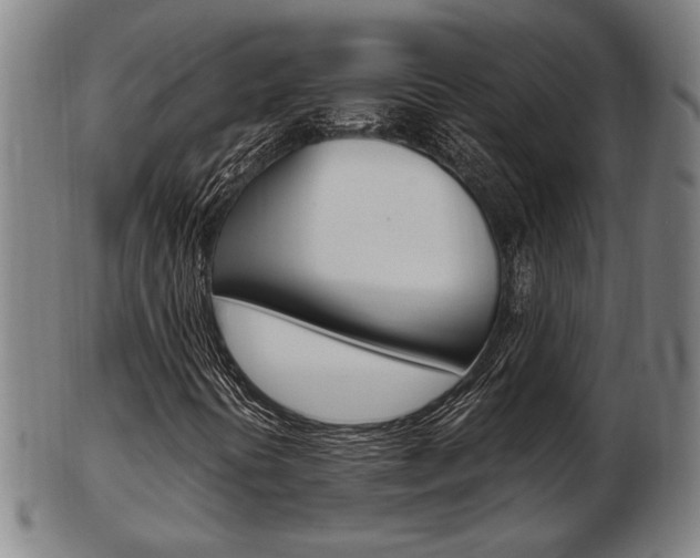 X0000103481394200809120917
