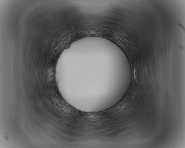 X0000103481395200809120917