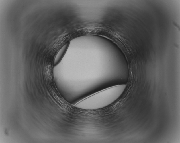 X0000103481396200809120917