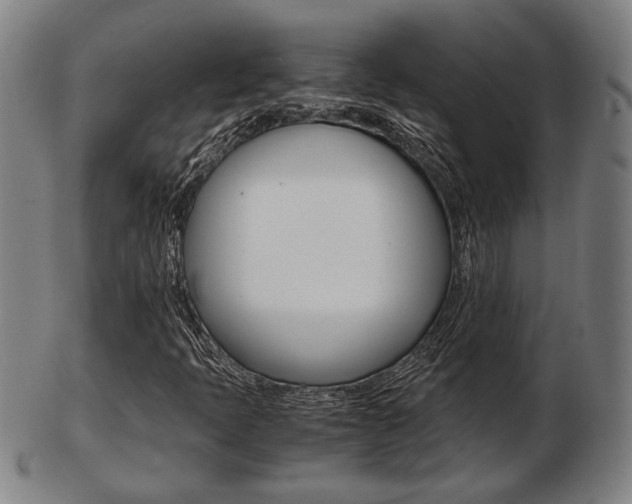 X0000103481397200809120917