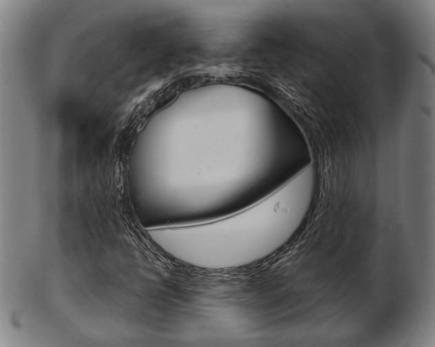 X0000103481398200809120917