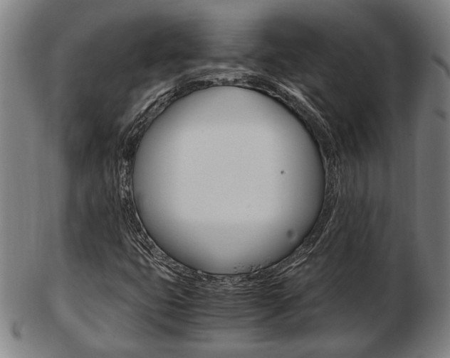 X0000103481399200809120917