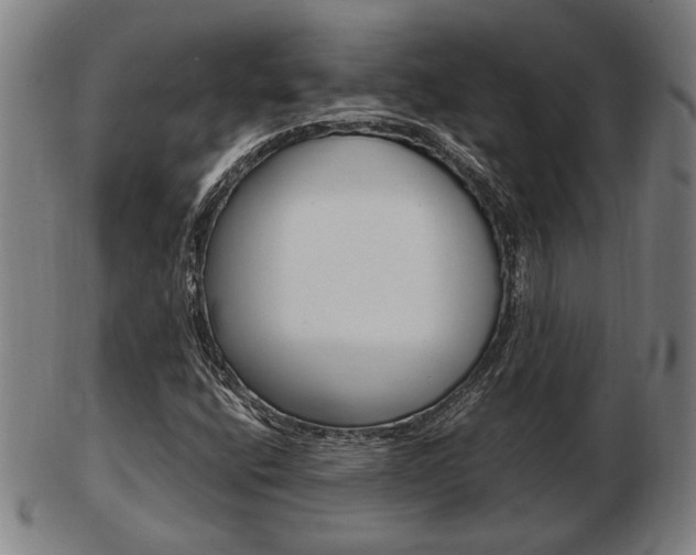 X0000103481400200809120917
