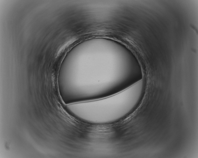 X0000103481402200809120917