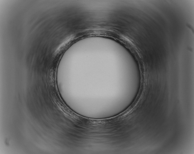 X0000103481403200809120917