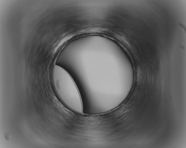 X0000103481404200809120917