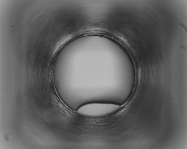 X0000103481405200809120917