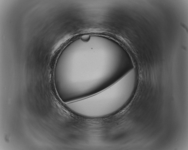 X0000103481406200809120917