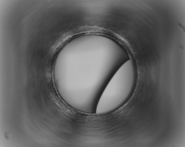X0000103481407200809120917