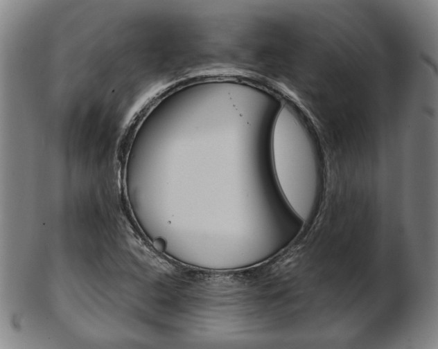 X0000103481408200809120917