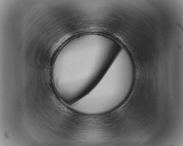 X0000103481410200809120917