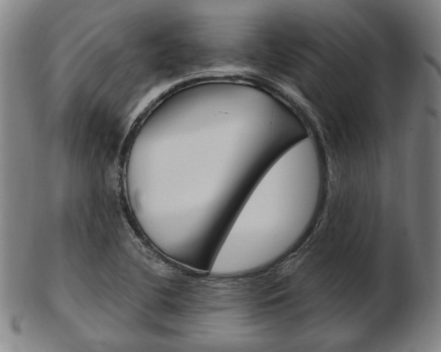 X0000103481412200809120917
