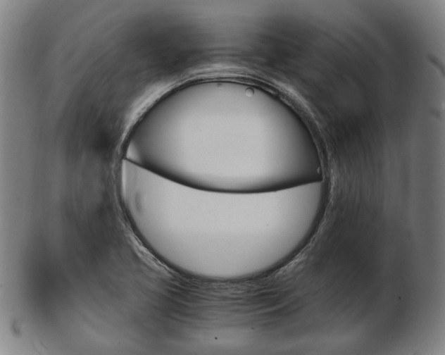 X0000103481413200809120917