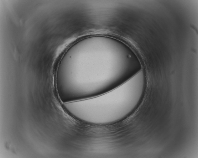 X0000103481414200809120917