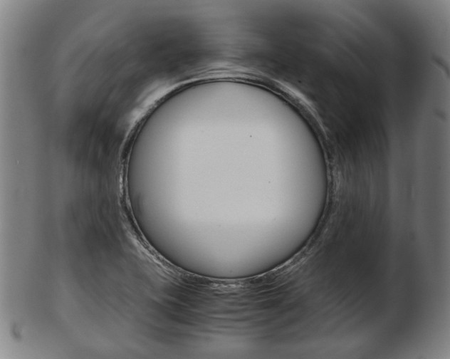X0000103481415200809120918