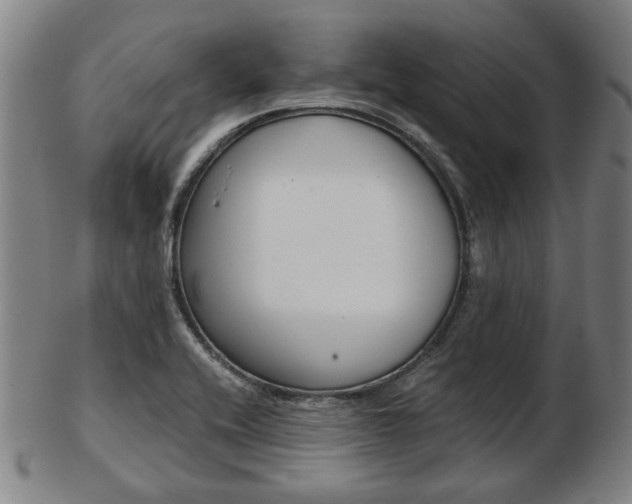 X0000103481416200809120918
