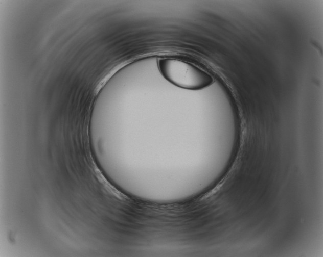 X0000103481417200809120918