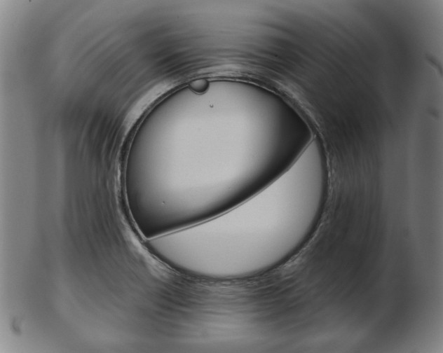 X0000103481418200809120918