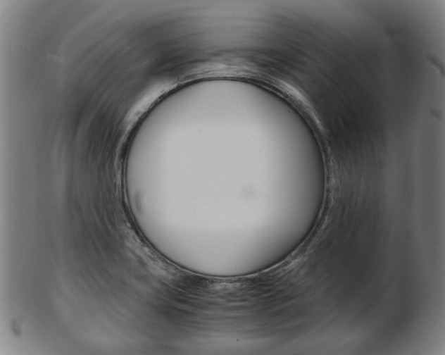 X0000103481419200809120918