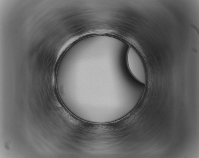 X0000103481420200809120918