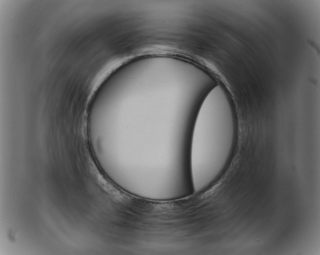 X0000103481421200809120918